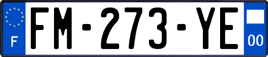 FM-273-YE