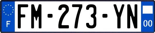 FM-273-YN