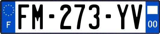 FM-273-YV