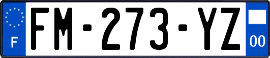 FM-273-YZ