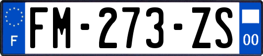 FM-273-ZS