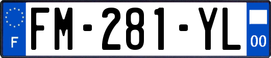 FM-281-YL