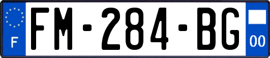 FM-284-BG