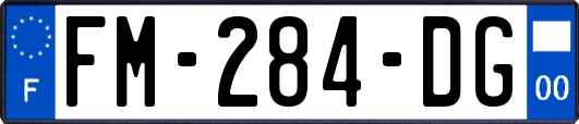 FM-284-DG