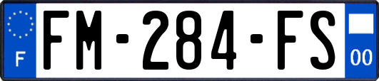 FM-284-FS