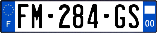 FM-284-GS