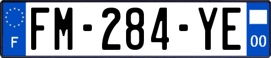 FM-284-YE