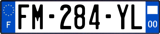 FM-284-YL