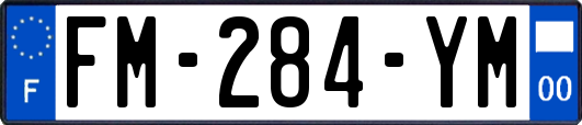 FM-284-YM