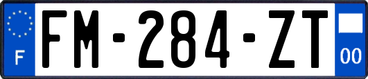 FM-284-ZT