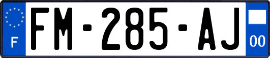 FM-285-AJ