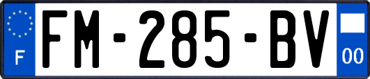 FM-285-BV