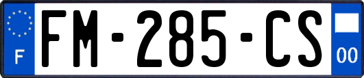 FM-285-CS