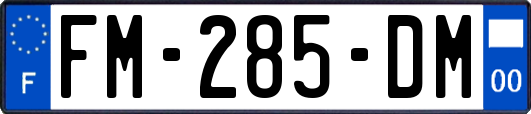 FM-285-DM