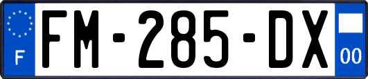 FM-285-DX
