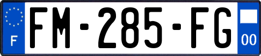 FM-285-FG