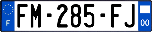 FM-285-FJ