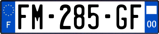 FM-285-GF