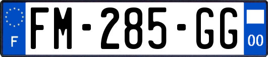 FM-285-GG