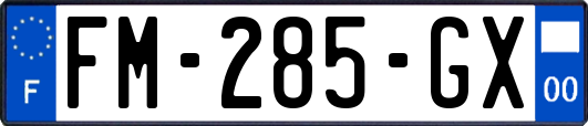 FM-285-GX