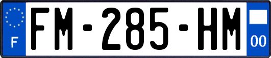 FM-285-HM