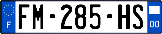 FM-285-HS