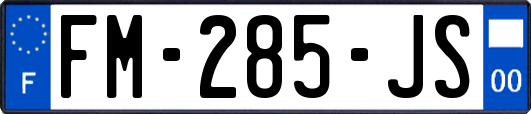 FM-285-JS