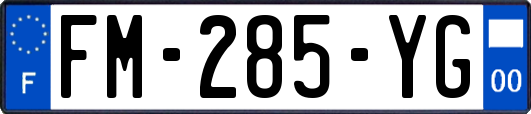 FM-285-YG