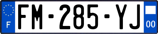 FM-285-YJ
