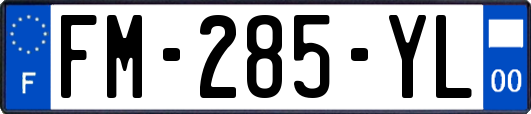 FM-285-YL