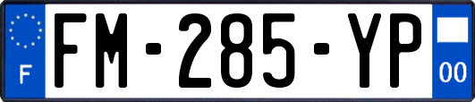 FM-285-YP