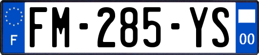FM-285-YS