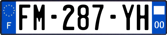 FM-287-YH