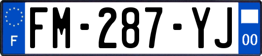 FM-287-YJ