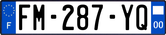FM-287-YQ