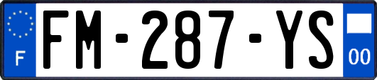 FM-287-YS