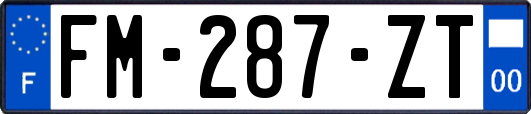 FM-287-ZT