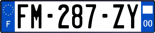 FM-287-ZY