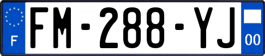 FM-288-YJ
