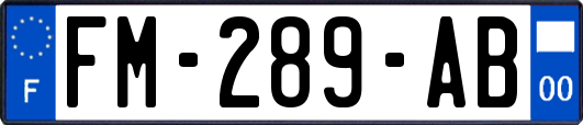 FM-289-AB