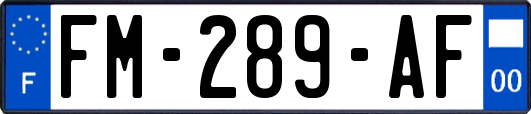 FM-289-AF