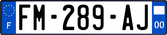 FM-289-AJ