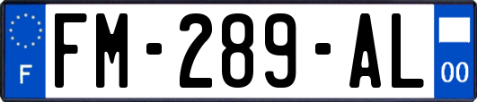 FM-289-AL