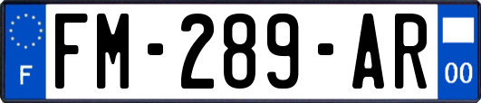 FM-289-AR