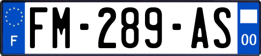 FM-289-AS