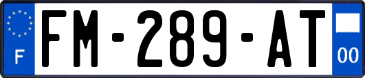 FM-289-AT