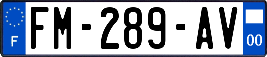 FM-289-AV