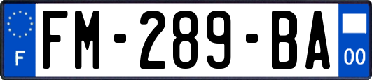 FM-289-BA