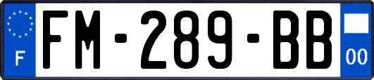 FM-289-BB