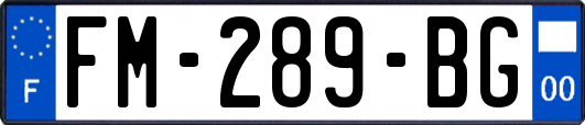 FM-289-BG